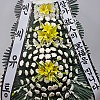 https://www.ceremonyflower.com/data/editor/2111/thumb-f24871b9cba47a4c076d2f1b27079eb0_1636642112_2894_100x100.jpg