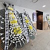 https://www.ceremonyflower.com/data/editor/2403/thumb-ac5fe4cba61585b51bfe26465b54273c_1709607209_7912_100x100.jpg
