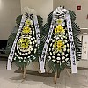 https://www.ceremonyflower.com/data/editor/2403/thumb-ac5fe4cba61585b51bfe26465b54273c_1709607762_7692_100x100.jpg