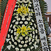 https://www.ceremonyflower.com/data/editor/2412/thumb-733de65bc5063e1e81a1741ab1d9ee78_1734661749_1399_100x100.jpg