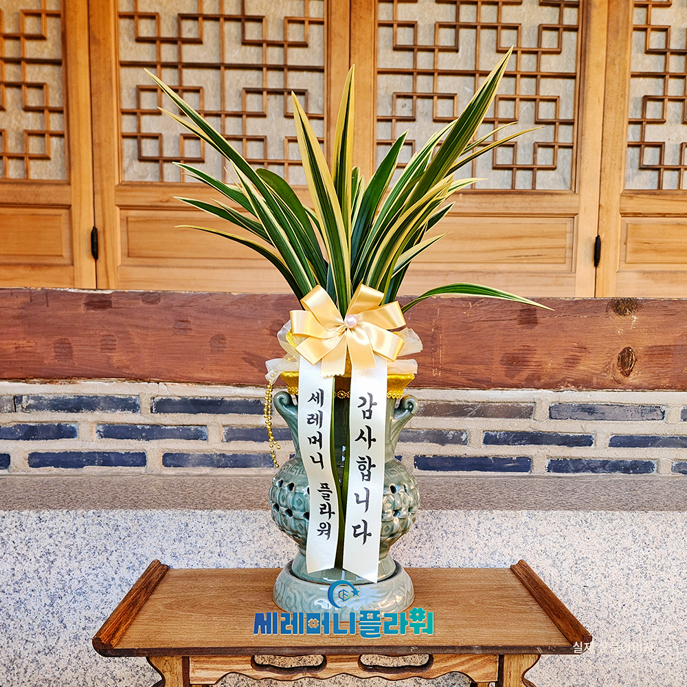 동양란6호 일향금 청자