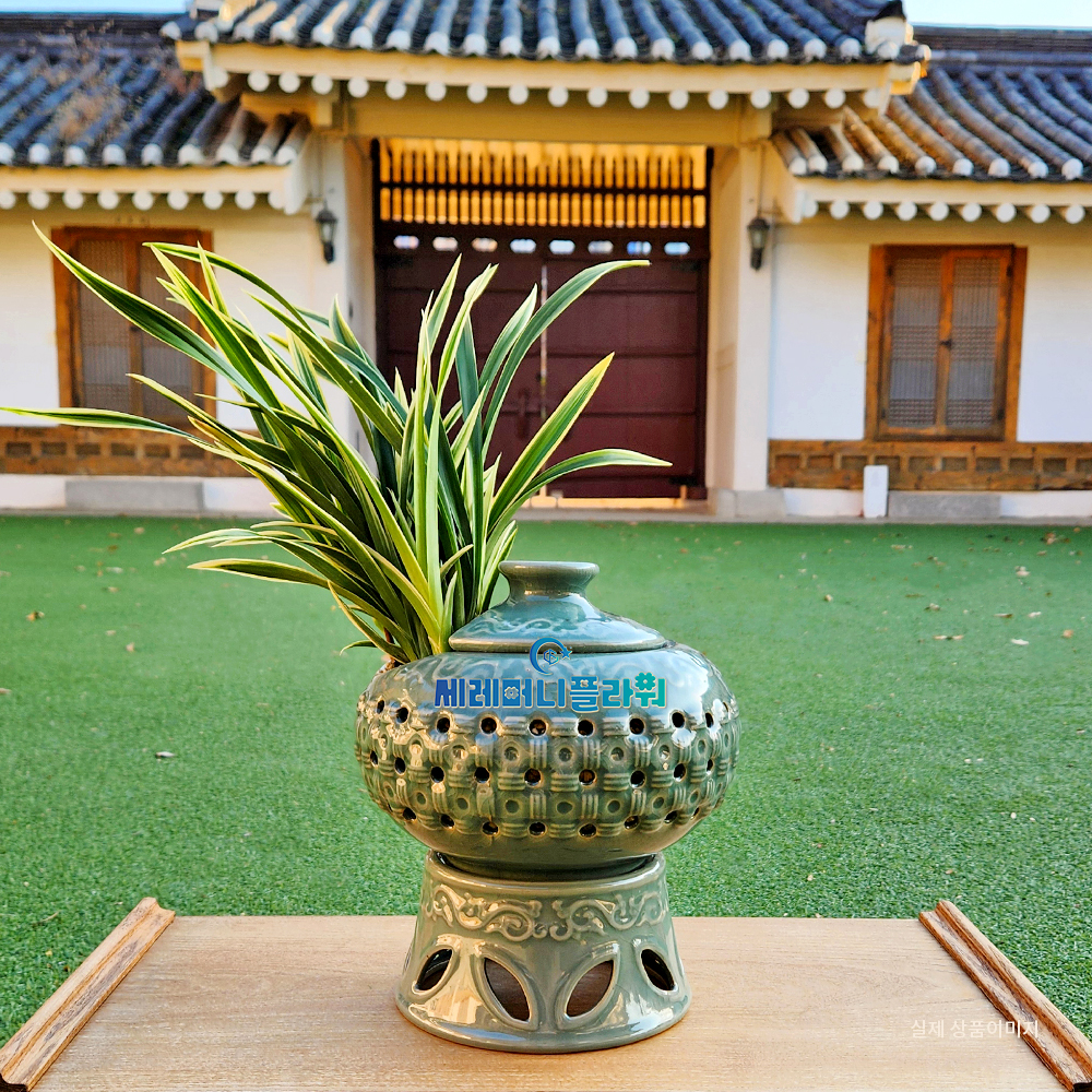 동양란4호 대국 청자