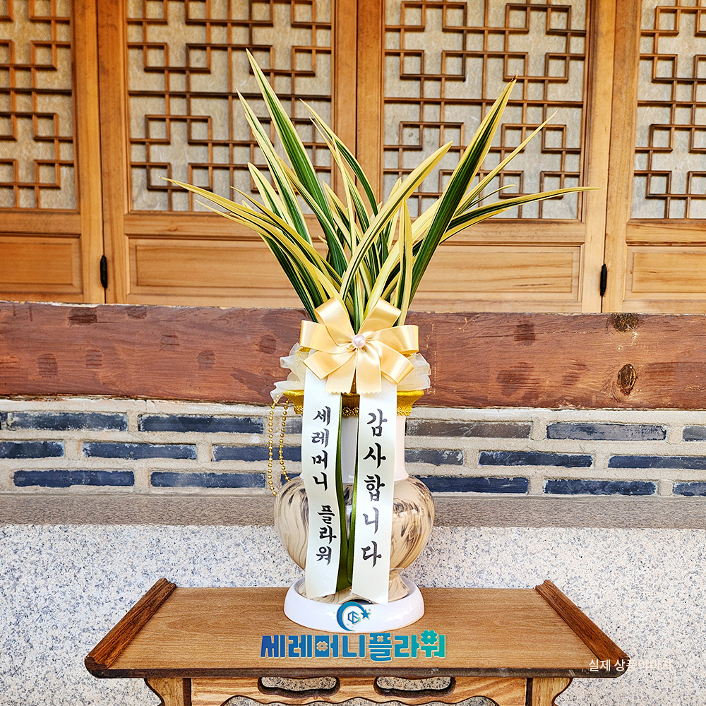 동양란11호 황금일향 고급분