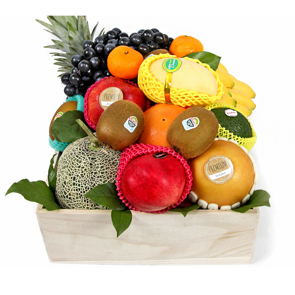 과일보자기 2호