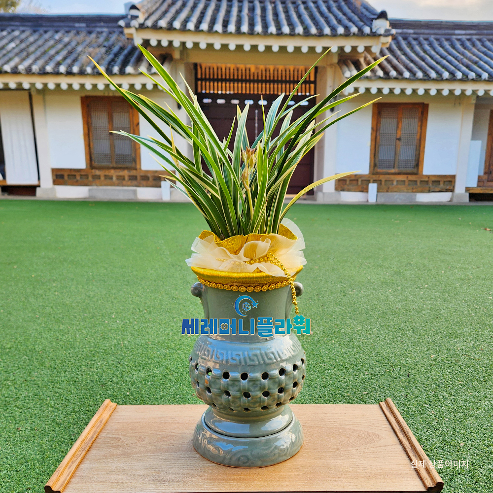 동양란2호 고급 계절난