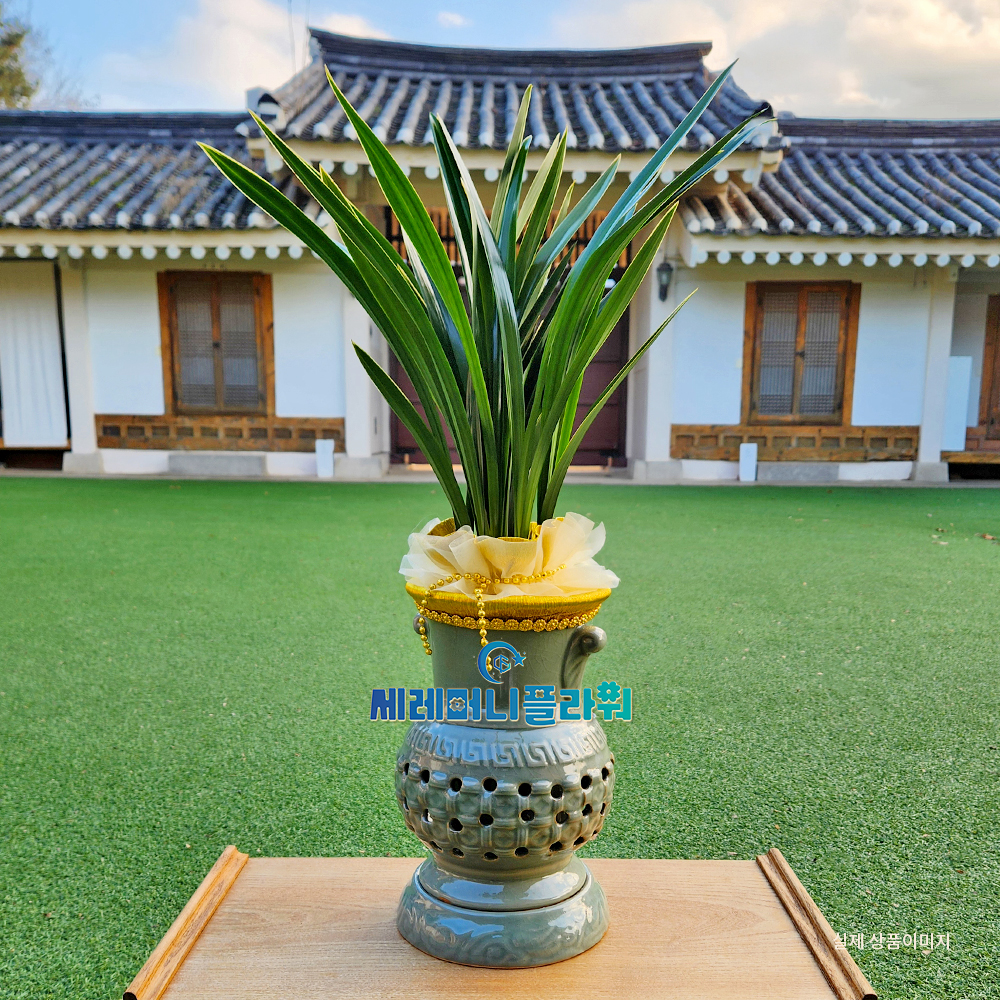 동양란2호 고급 계절난