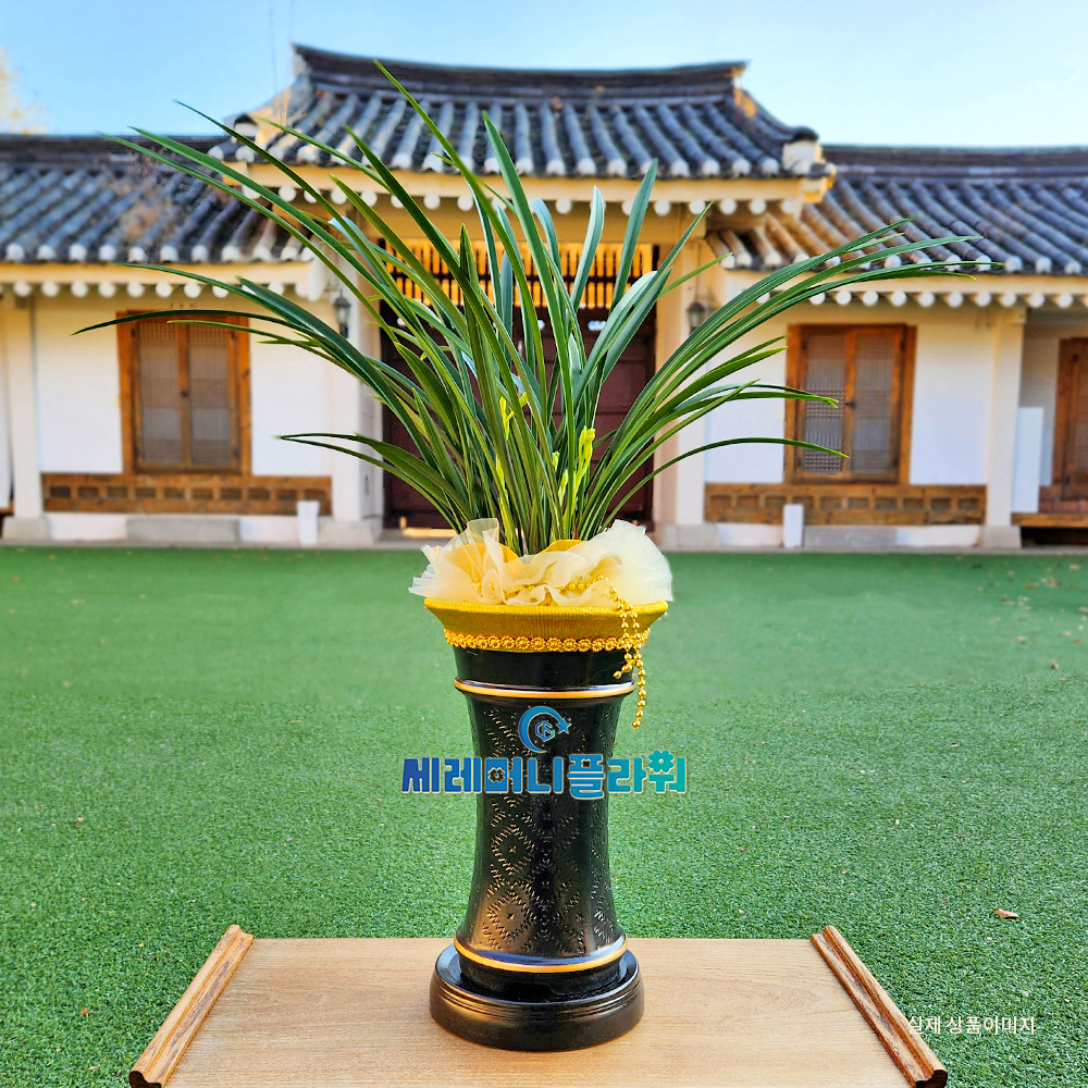 동양란1호 계절난