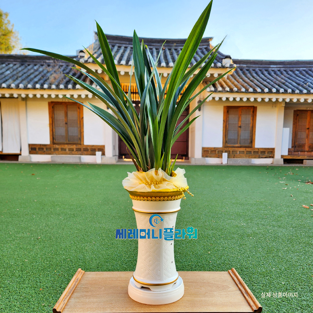 동양란1호 계절난