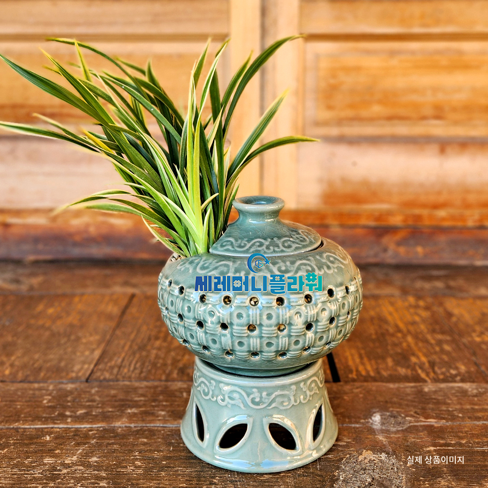 동양란 간편모음