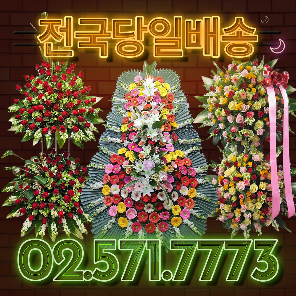 축하화환 간편모음