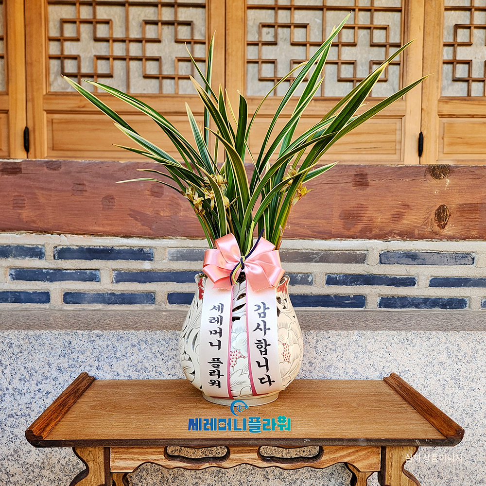 동양란13호 황룡금 이천도자기